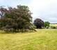 Romaldkirk Hall Stables - Gallery - picture 