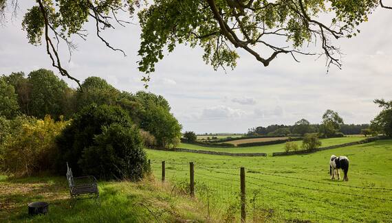 Abbey Home Farm - Lower Wiggold Cottage - Gallery