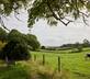 Abbey Home Farm - Lower Wiggold Cottage - Gallery - picture 
