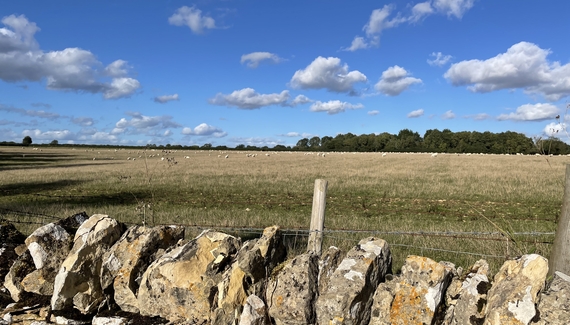 Abbey Home Farm - The Cart Shed - Gallery