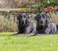 Aylworth Manor - gallery - picture 