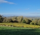 Dryhill Vineyard Cottage - Gallery - picture 