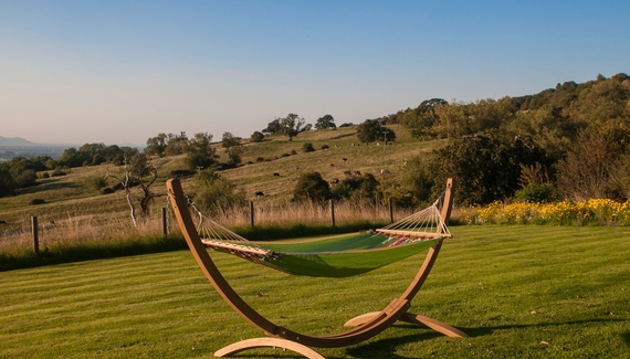 Dryhill Vineyard Cottage - Gallery