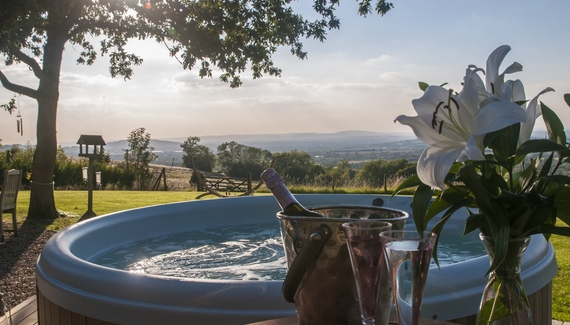 Dryhill Vineyard Cottage - Gallery