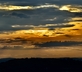 Dryhill Vineyard Cottage - Gallery - picture 