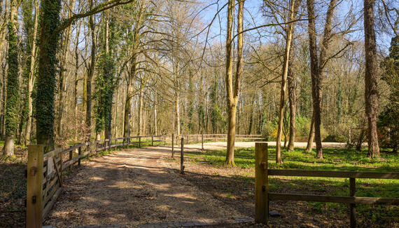 Hollybush Cottage at Badminton Estate - Gallery