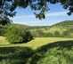 Mayfield Studio - Gallery - picture 