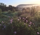 Mayfield Studio - Gallery - picture 