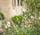 River Barn - Gallery - picture 