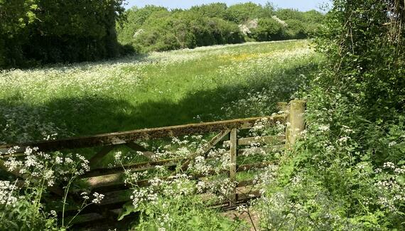 The Barn at Clapton Manor - Gallery