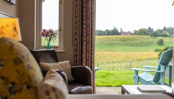 Three Choirs Vineyards - Gallery