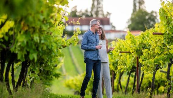 Three Choirs Vineyards - Gallery