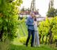 Three Choirs Vineyards - Gallery - picture 