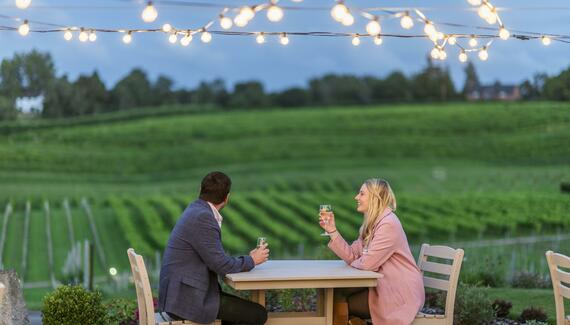 Three Choirs Vineyards - Gallery