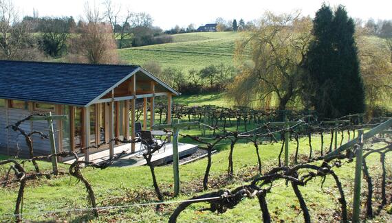 Three Choirs Vineyards - Gallery
