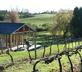 Three Choirs Vineyards - Gallery - picture 
