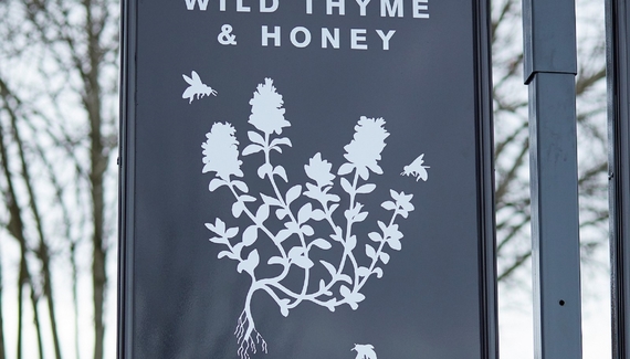 Wild Thyme & Honey - Gallery
