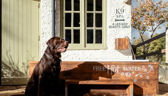High Corner Inn - Gallery
