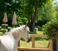 High Corner Inn - Gallery - picture 