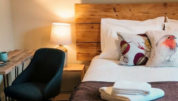 South Downs Eco Lodge - Gallery