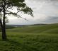 South Downs Eco Lodge - Gallery - picture 