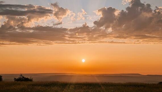 South Downs Eco Lodge - Gallery