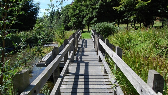South Downs Eco Lodge - Gallery