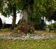 The Clock Tower - Gallery - picture 
