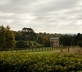 The Clock Tower - Gallery - picture 