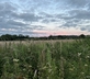 The Hay Barn at Ferendone House - Gallery - picture 