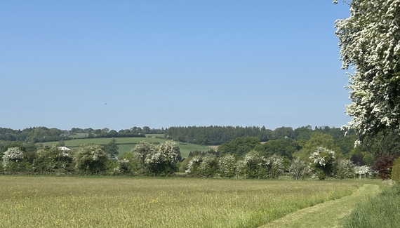 The Hay Barn at Ferendone House - Gallery