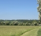 The Hay Barn at Ferendone House - Gallery - picture 