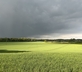 The Hay Barn at Ferendone House - Gallery - picture 