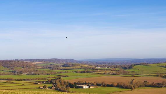 Wetherdown - Gallery