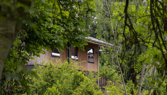 Chestnut at Cynefin Retreats - Gallery