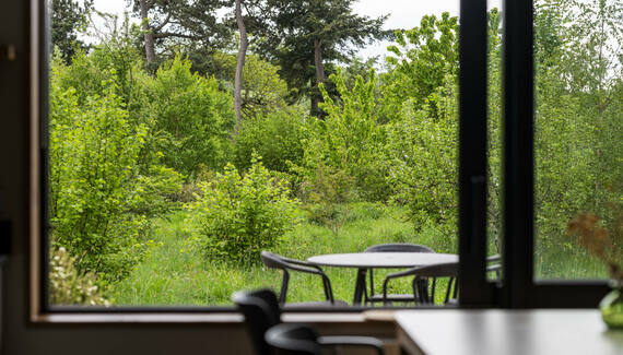 Chestnut at Cynefin Retreats - Gallery