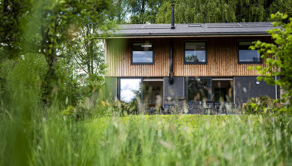Chestnut at Cynefin Retreats - Gallery