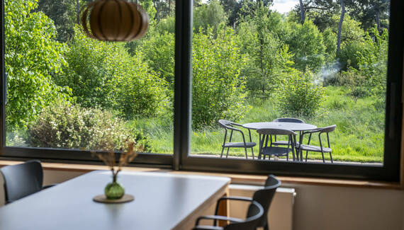 Chestnut at Cynefin Retreats - Gallery