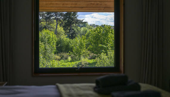 Chestnut at Cynefin Retreats - Gallery
