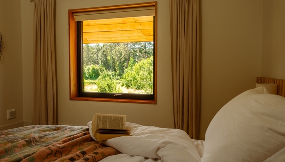 Chestnut at Cynefin Retreats - Gallery