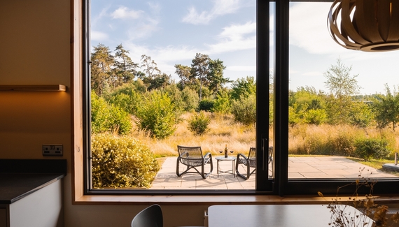 Chestnut at Cynefin Retreats - Gallery