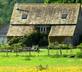 Cothill Barn - Gallery - picture 