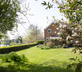 Net House - Gallery - picture 