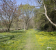 Net House - Gallery - picture 