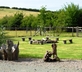 Cothill Barn - Gallery - picture 