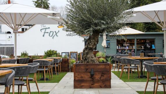 The Fox - Gallery