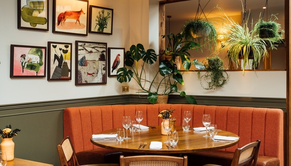 The Fox - Gallery