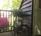 The Treehouse - gallery - picture 
