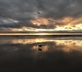 Little Pitt Place - Gallery - picture 