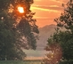 Little Pitt Place - Gallery - picture 